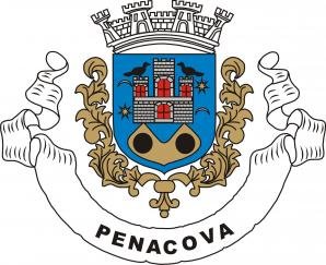 brasão_de_armas_município_penacova.jpg